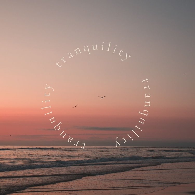 Tranquility | Neroli & May Chang Candle