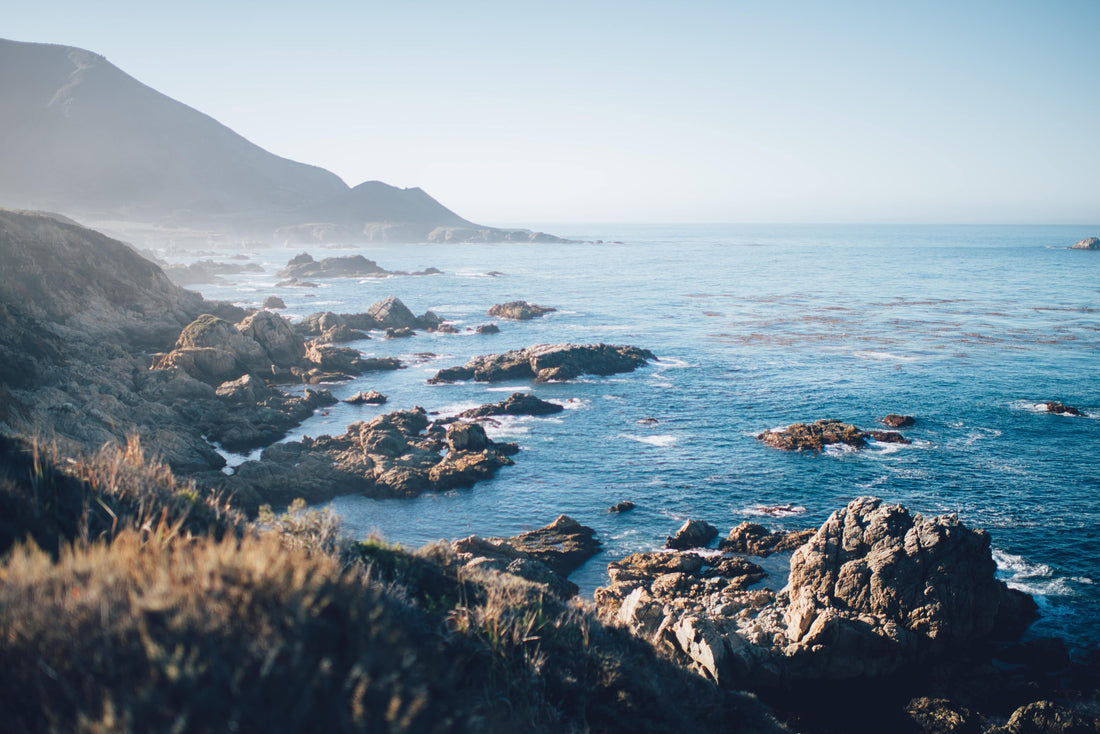 Coast | Wood, Sea salt & Sage Candle