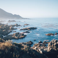 Coast | Wood, Sea salt & Sage Candle